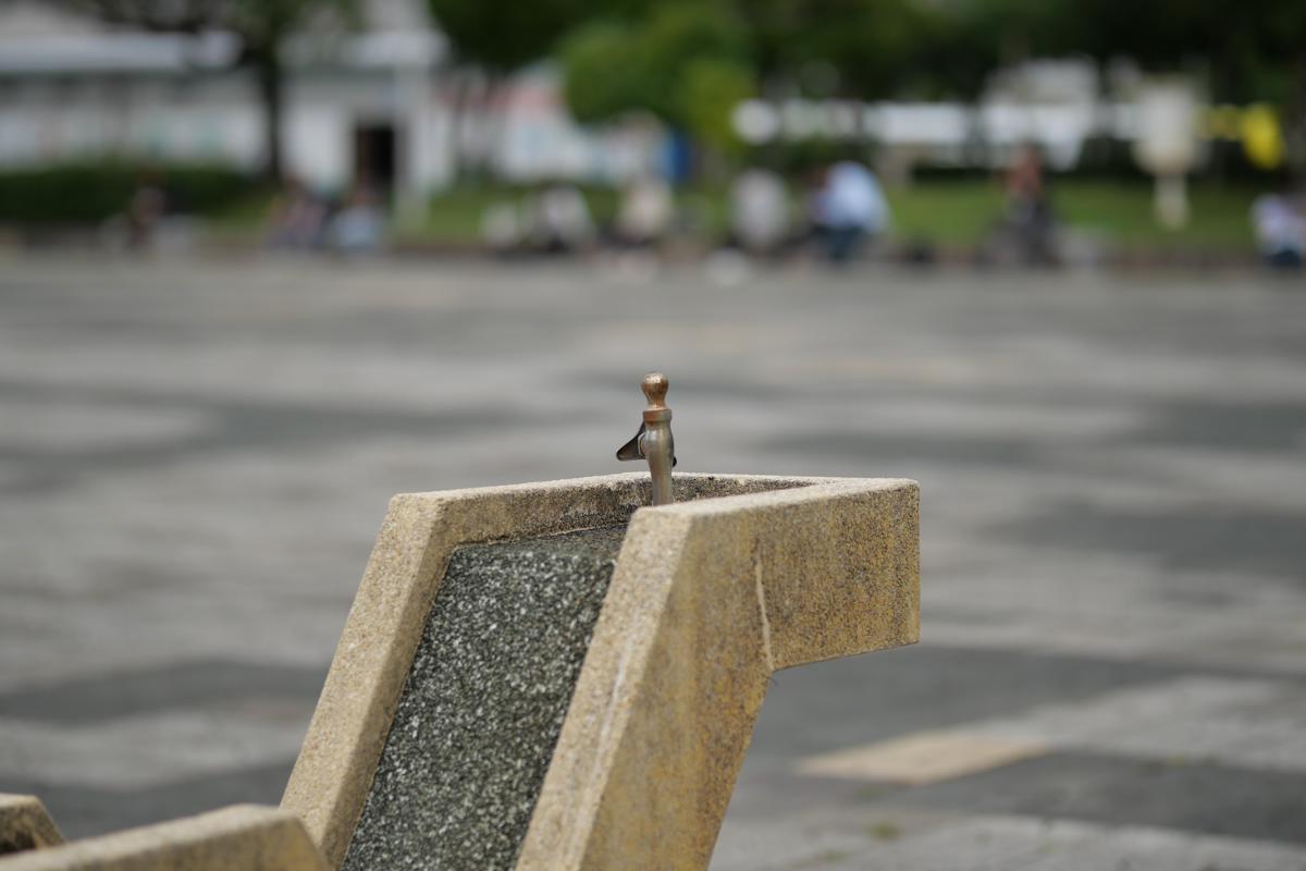 Lumix G100D