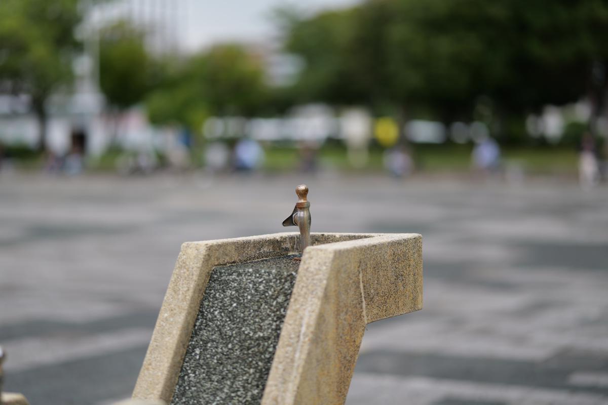 Lumix S5II