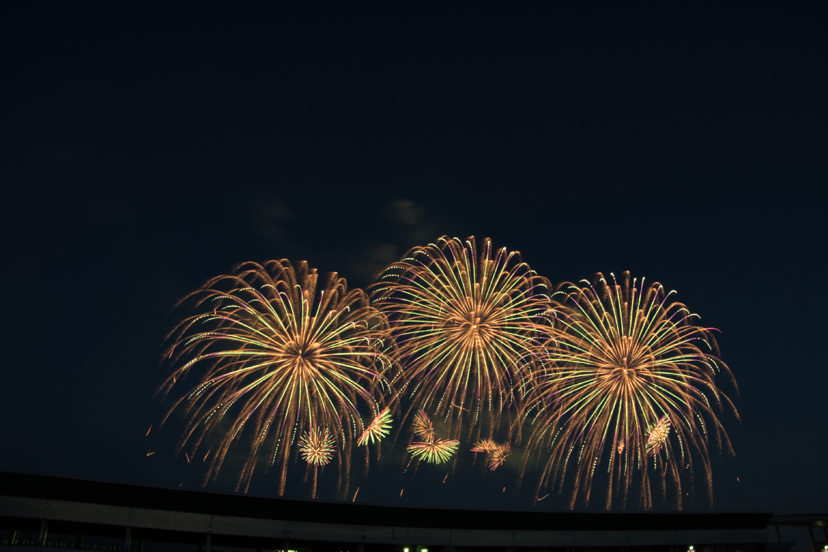 無限遠ピントでシャープに捉えた、夜空に均整の取れた三輪の大輪が咲く黄金色の花火