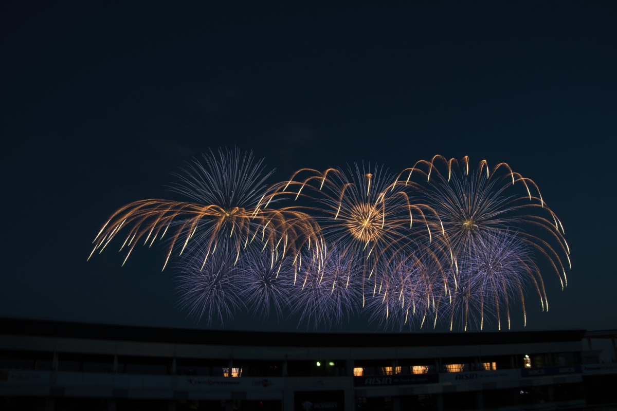 夜空に高く打ち上がり、火花が繊細な糸のように垂れ下がる優雅な柳花火の描写