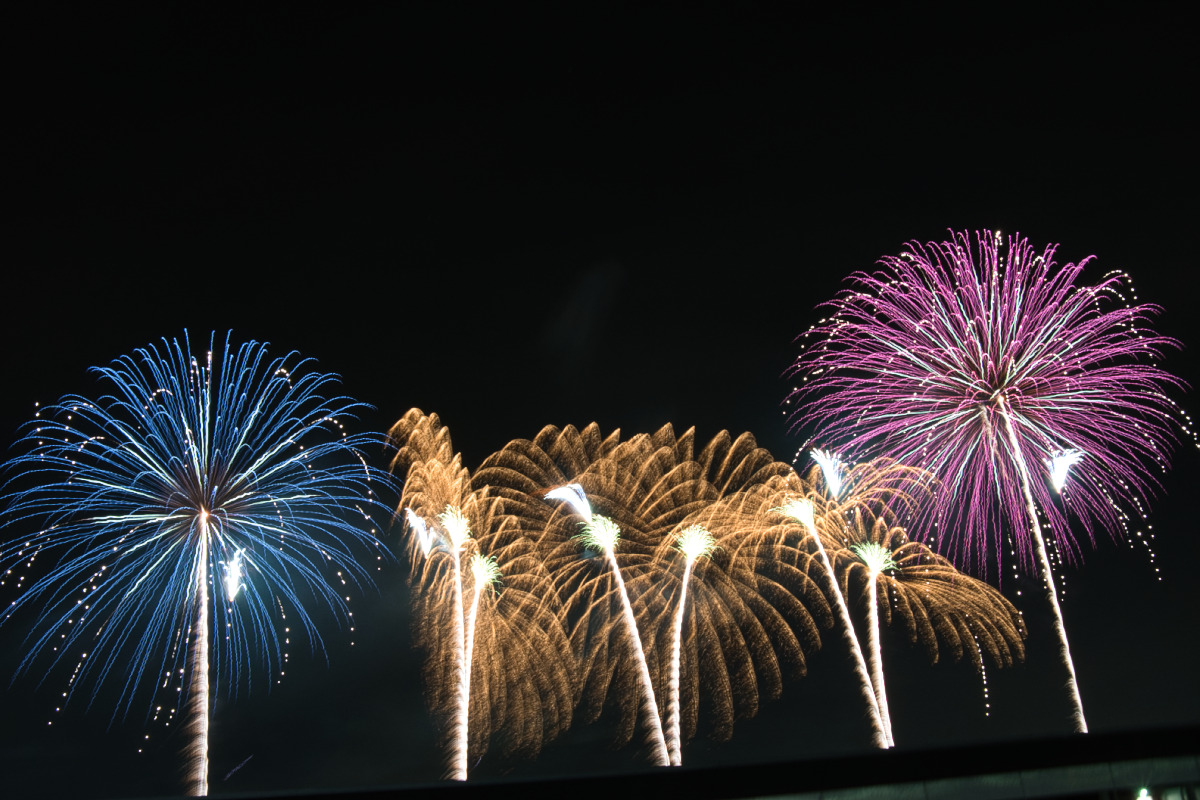青、金、紫と、それぞれ異なる鮮やかな色彩が並んで夜空を彩る華やかな花火の競演