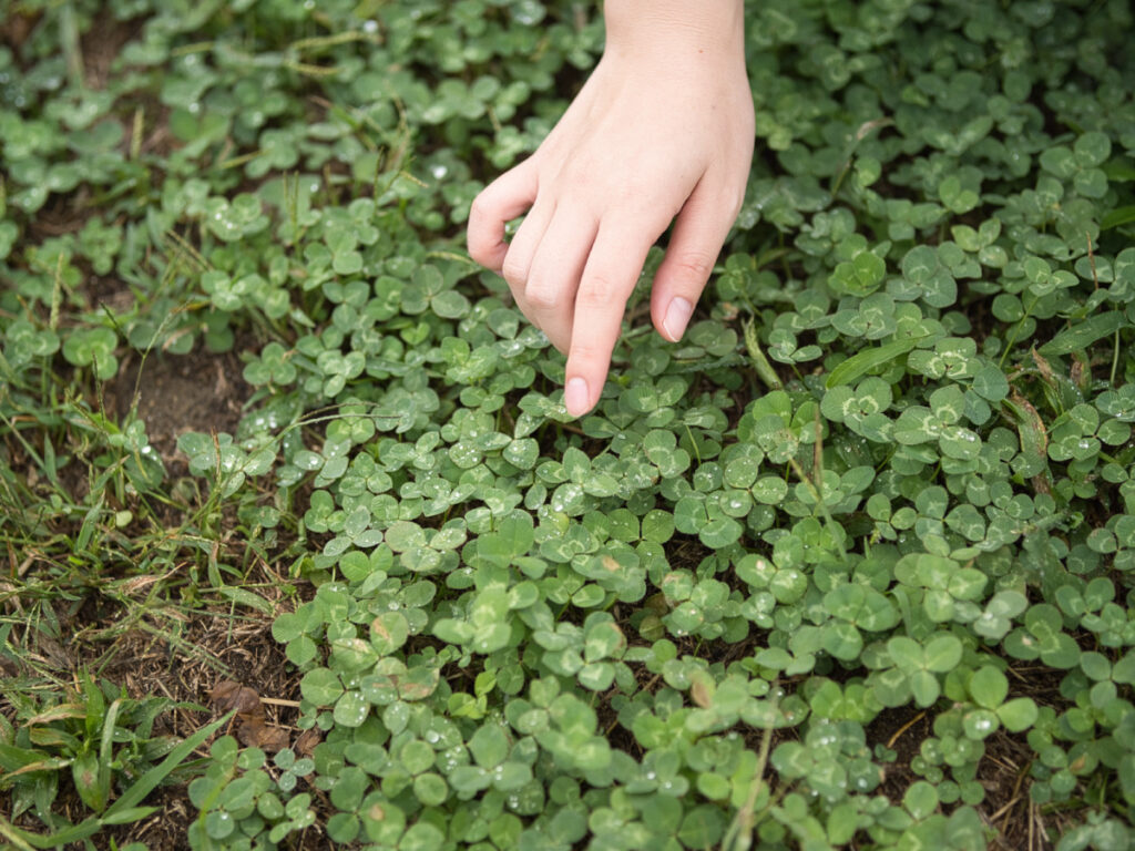 四葉のクローバーにそっと指を添えるゆめのさんの手元のクローズアップ。SIGMAレンズらしい、睫毛や指先の緻密な解像。
