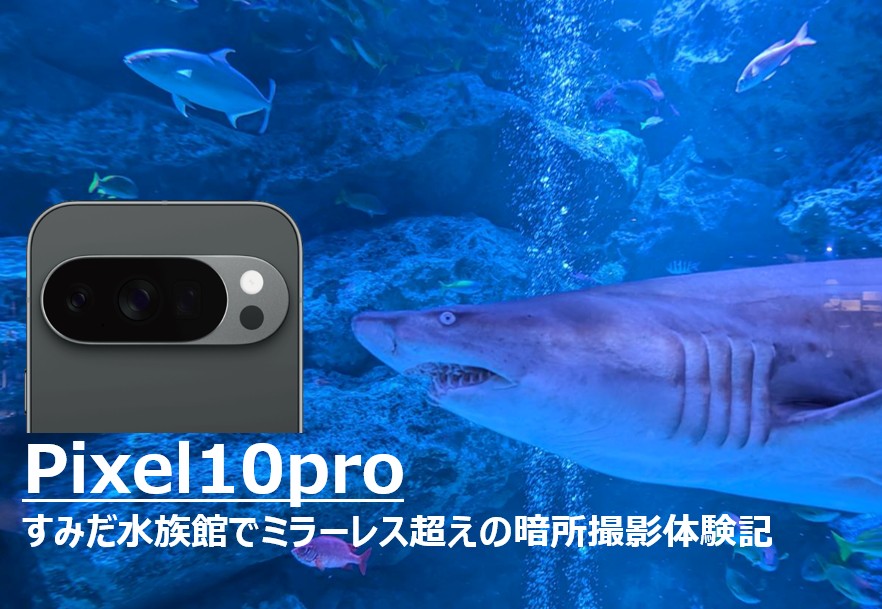すみだ水族館の青く幻想的な大水槽を背景にしたPixel 10 Proの撮影風景