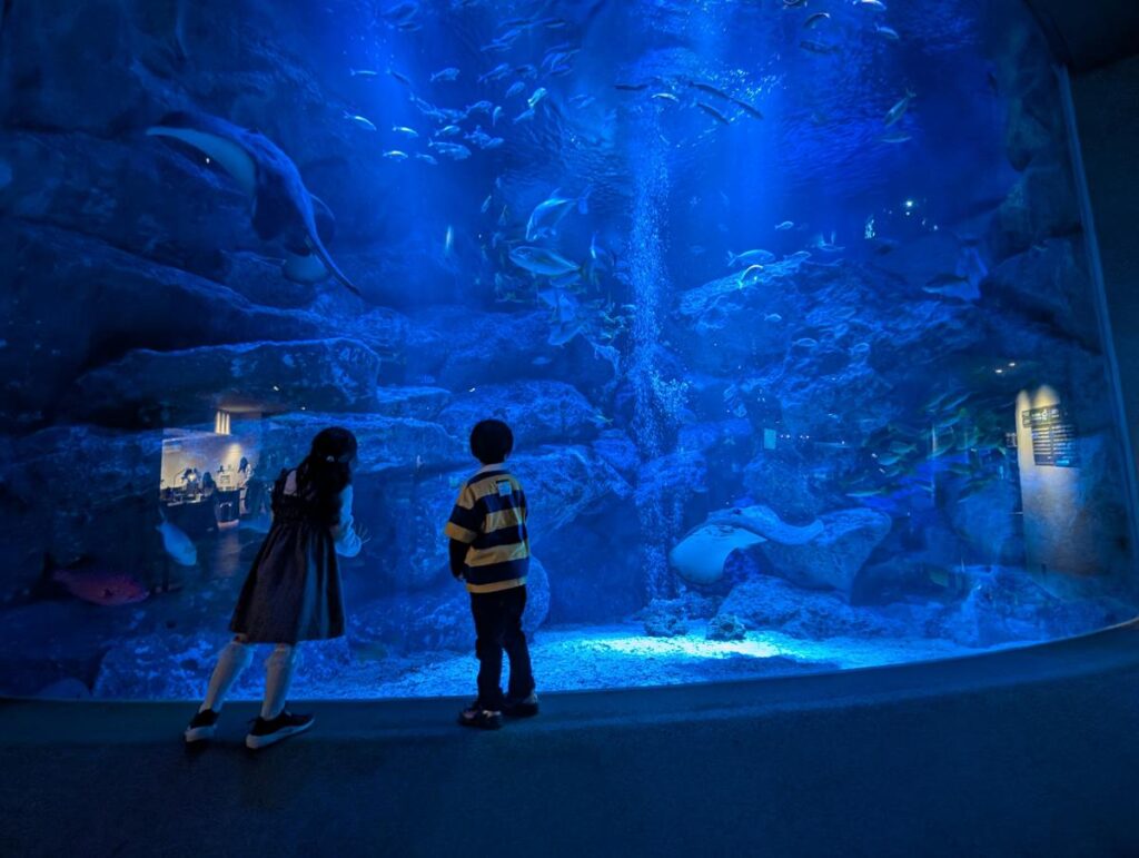 ミラーレスカメラなしでも十分、Pixel 10 Pro一台で完結する水族館撮影