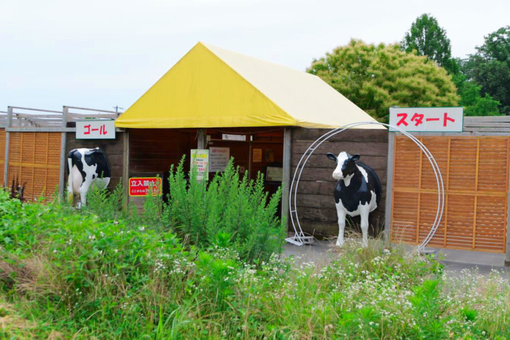 愛知牧場のスタートとゴールに設置された牛のオブジェ