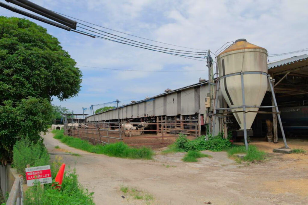 愛知牧場の牛舎と大きな飼料タンクの風景