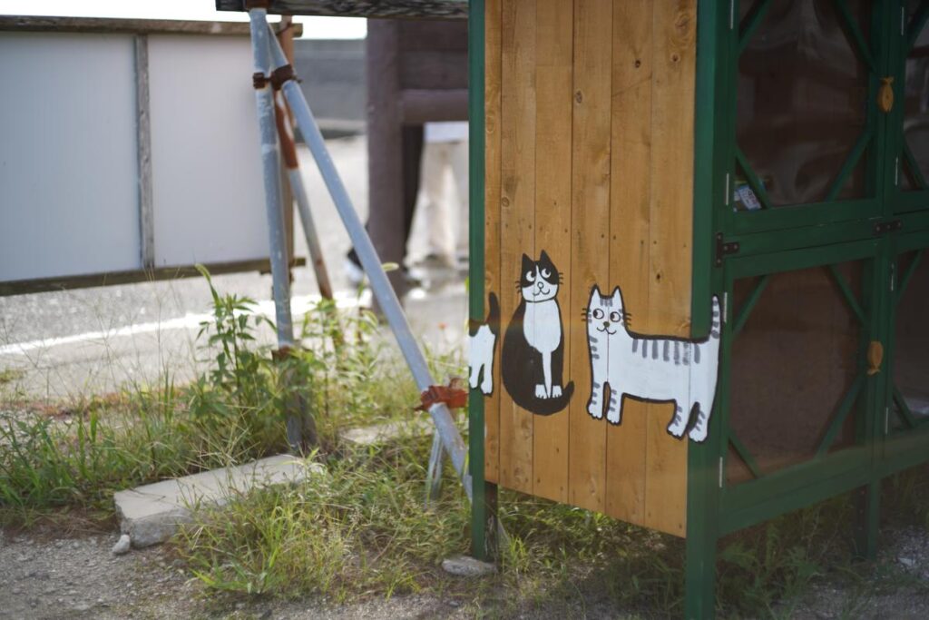 道端に置かれた可愛らしい猫のイラストが描かれた木箱のオールドレンズスナップ