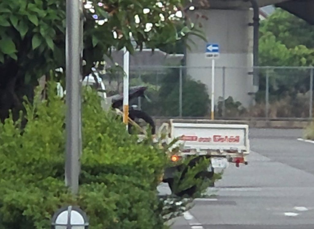 トラックに載せられて角を曲がり去っていくCBR250RRの後ろ姿