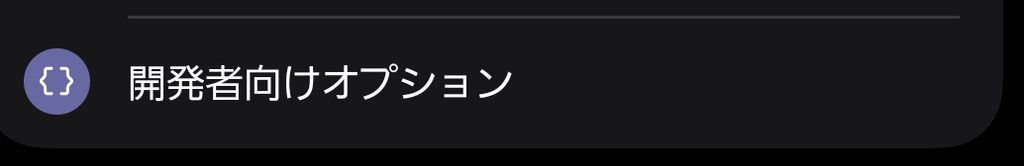 開発者向けオプション設定画面