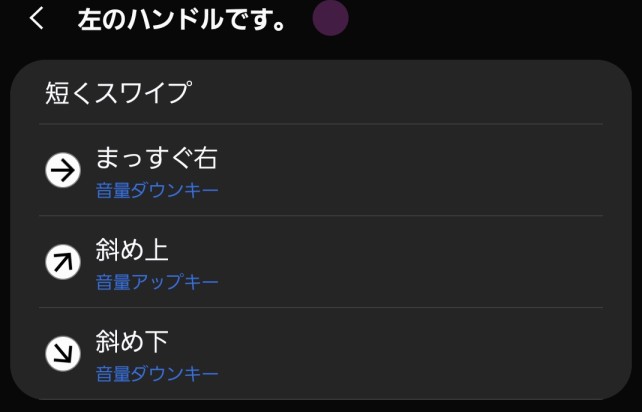 追加した左ハンドルの短いスワイプに音量キーを割り当てた設定画面