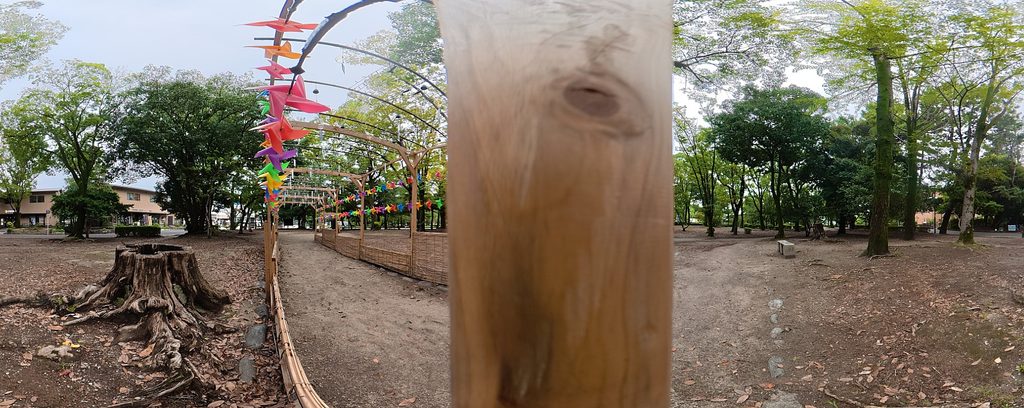 DJI Osmo 360で撮影したパノラマ写真の上下をトリミングした作例