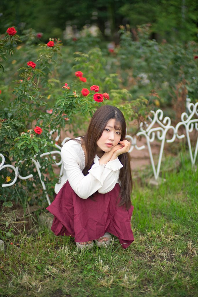 バラ園のフェンス 斜め上から撮影した桜井こはるさんの開放F1.0作例