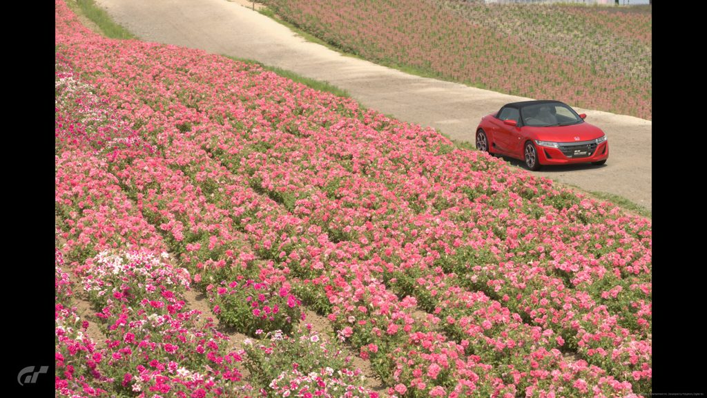 GT7で満開の花畑が広がる丘の小道に佇むフレームレッドのS660