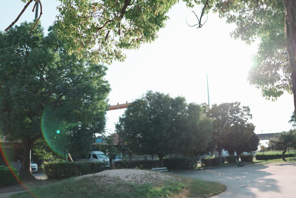 強い逆光下で緑のゴーストを活かした公園スナップ作例